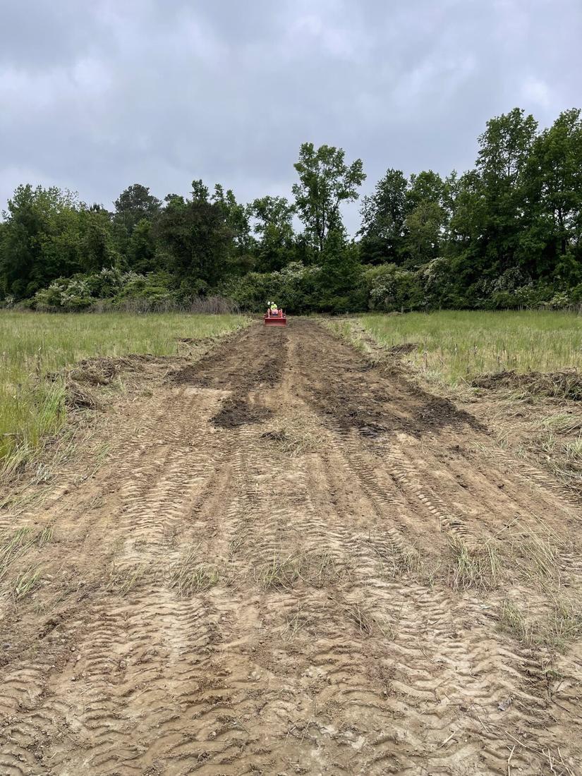 Orenda Pastures build photo 2